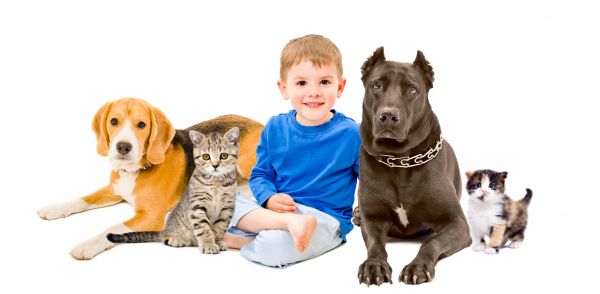 Sacramento Pets