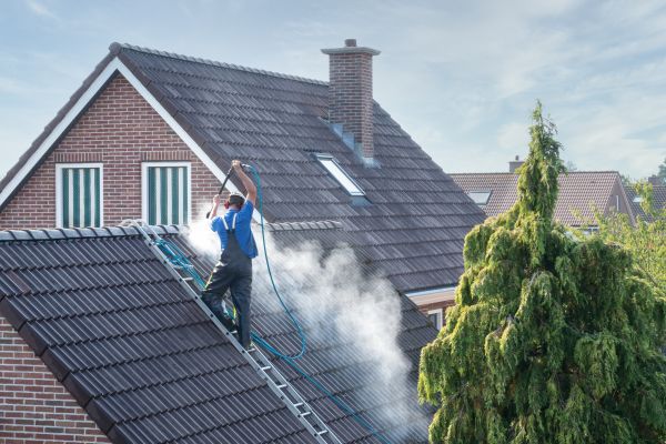 Sacramento Roof Cleaning