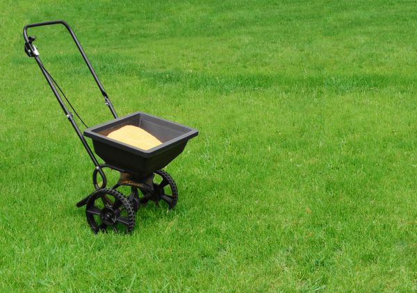 Sacramento Lawn Treatment