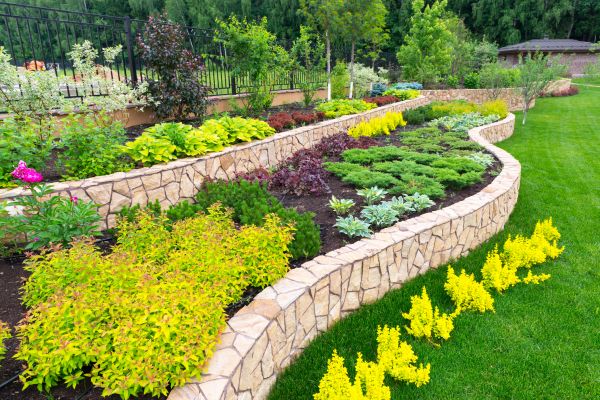 Sacramento Landscaping