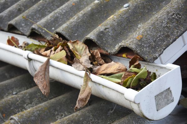 Sacramento Gutter Cleaning